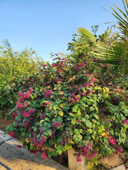 Farmhouse Close To Nature - Kesari Farm Γκαντχιναγκάρ Εξωτερικό φωτογραφία